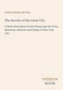 Text: "James Dabney McCabe", "The Secrets of the Great City", "A Work Descriptive...", "ANTIQUM NOVUM". Schlichtes Design.