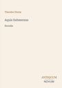 "Theodor Storm, Aquis Submersus, Novelle. ANTIQUUM NOVUM Logo. Einfache, minimalistische Gestaltung auf beigem Hintergrund."