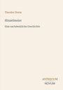Der Text zeigt Autor "Theodor Storm", Titel "Hinzelmeier", Untertitel "Eine nachdenkliche Geschichte" und ein Logo "ANTIKUM NOVUM".