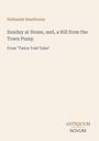 "Nathaniel Hawthorne. Sunday at Home, and, a Rill from the Town Pump. From 'Twice Told Tales'. ANTIQUUM NOVUM." Klare, schlichte Gestaltung.