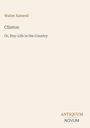 Walter Aimwell: Clinton. Or, Boy-Life in the Country. Unten steht "ANTIQUM NOVUM". Schlichte, helle Gestaltung.