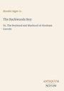 Buchtitel: "The Backwoods Boy". Untertitel: "Or, The Boyhood and Manhood of Abraham Lincoln". Autor: Horatio Alger Jr.