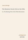 Texte: "Janet Aldridge", "The Meadow-Brook Girls in the Hills", "Or, The Missing Pilot of the White Mountains". Unten rechts: "ANTIQUM NOVUM". Beige Hintergrund.