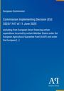 Text: Commission Implementing Decision (EU) 2025/1147 of 11 June 2025. Hintergrund: Blau mit gelbem Rand und Logo.