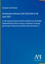 Auf blauem Hintergrund steht: "European Commission", "Commission Decision (EU) 2022/444 of 28 June 2021". Unten rechts ein Logo "AQ".