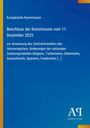 Text: "Europäische Kommission, Beschluss der Kommission vom 11. Dezember 2025..." Blaues Design, Logo unten rechts.