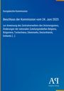 Text: Europäische Kommission, Beschluss vom 24. Juni 2025. Blaues Hintergrunddesign, unten rechts weißes Logo "Antiphon Verlag".