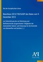 Text: Rat der Europäischen Union. Beschluss 2013/730/GASP des Rates vom 9. Dezember 2013. Blau mit gelbem Rand. Logo unten.