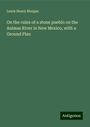 Lewis Henry Morgan: On the ruins of a stone pueblo on the Animas River in New Mexico, with a Ground Plan, Buch