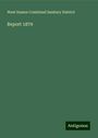 West Sussex Combined Sanitary District: Report 1879, Buch