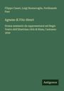 Filippo Casari: Agnese di Fitz-Henri, Buch