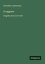 Salvadore Cammarano: Il reggente, Buch