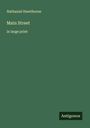 Nathaniel Hawthorne: Main Street, Buch