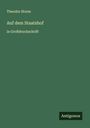 Theodor Storm: Auf dem Staatshof, Buch
