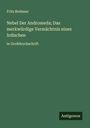 Fritz Brehmer: Nebel Der Andromeda; Das merkwürdige Vermächtnis eines Irdischen, Buch