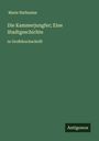 Marie Nathusius: Die Kammerjungfer; Eine Stadtgeschichte, Buch