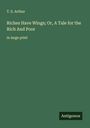 T. S. Arthur: Riches Have Wings; Or, A Tale for the Rich And Poor, Buch