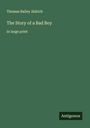 Thomas Bailey Aldrich: The Story of a Bad Boy, Buch