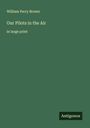 William Perry Brown: Our Pilots in the Air, Buch