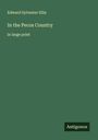 Edward Sylvester Ellis: In the Pecos Country, Buch