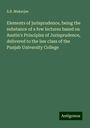 S. B. Mukerjee: Elements of jurisprudence, being the substance of a few lectures based on Austin's Principles of Jurisprudence, delivered to the law class of the Punjab University College, Buch