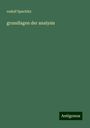 Rudolf Lipschitz: grundlagen der analysis, Buch