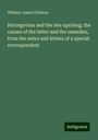 William James Stillman: Herzegovina and the late uprising; the causes of the latter and the remedies, from the notes and letters of a special correspondent, Buch