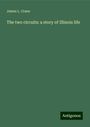 James L. Crane: The two circuits: a story of Illinois life, Buch