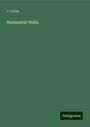 J. Lucas: Horizontal Wells, Buch