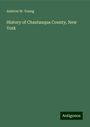 Andrew W. Young: History of Chautauqua County, New York, Buch