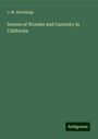 J. M. Hutchings: Scenes of Wonder and Curiosity in California, Buch