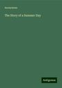 Anonymous: The Story of a Summer Day, Buch