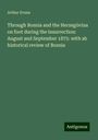 Arthur Evans: Through Bosnia and the Herzegóvina on foot during the insurrection: August and September 1875: with ab historical review of Bosnia, Buch