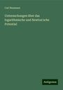 Carl Neumann: Untersuchungen über das logarithmische und Newton'sche Potential, Buch