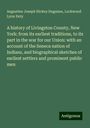 Augustine Joseph Hickey Duganne: A history of Livingston County, New York: from its earliest traditions, to its part in the war for our Union: with an account of the Seneca nation of Indians, and biographical sketches of earliest settlers and prominent public men, Buch