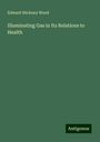 Edward Stickney Wood: Illuminating Gas in Its Relations to Health, Buch