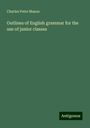 Charles Peter Mason: Outlines of English grammar for the use of junior classes, Buch