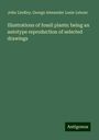 John Lindley: Illustrations of fossil plants: being an autotype reproduction of selected drawings, Buch