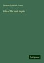 Herman Friedrich Grimm: Life of Michael Angelo, Buch