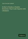 „De Barr's Friends, or Number Seventeen. Trip to Lake Superior with a Romance“ von Clara Gertrude Cadwell. Rechts unten: Antigonos.