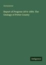 Grüner Hintergrund, oben: "Anonymous". Groß: "Report of Progress 1874-1889. The Geology of Potter County". Unten: "Antigonos".