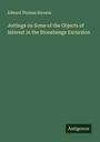 Edward Thomas Stevens: Jottings on Some of the Objects of Interest in the Stonehenge Excursion, Buch