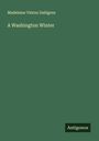 Madeleine Vinton Dahlgren: A Washington Winter, Buch