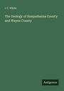 I. C. White: The Geology of Susquehanna County and Wayne County, Buch