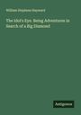 William Stephens Hayward: The Idol's Eye. Being Adventures in Search of a Big Diamond, Buch