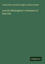 James Payn: Lost Sir Massingberd. A Romance of Real Life, Buch