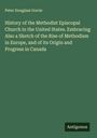 Peter Douglass Gorrie: History of the Methodist Episcopal Church in the United States. Embracing Also a Sketch of the Rise of Methodism in Europe, and of its Origin and Progress in Canada, Buch