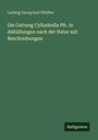 Ludwig Georg Karl Pfeiffer: Die Gattung Cylindrella Pfr. in Abbildungen nach der Natur mit Beschreibungen, Buch