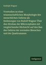 Rudolph Wagner: Vorstudien zu einer wissenschaftlichen Morphologie des menschlichen Gehirns als Seelenorgan von Rudolf Wagner Über den Hirnbau der Mikrocephalen mit vergleichender Rücksicht auf den Bau des Gehirns der normalen Menschen und der Quadrumanen, Buch