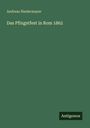 Andreas Niedermayer: Das Pfingstfest in Rom 1862, Buch